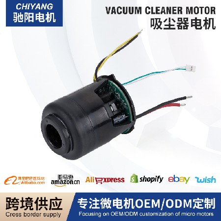 手持吸尘器无刷电机12V 家用手持吸尘器电机跨境高转速微型电机